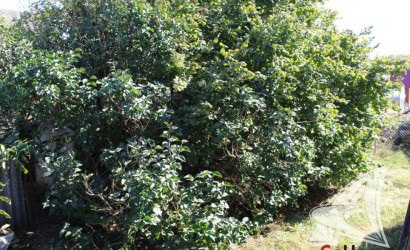 Купить дом, Брест, Мухавецкий с/с, 5.15 соток. Фото 11