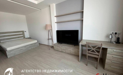 Снять 1-комнатную квартиру, Минск, Победителей пр-т 129 (Центральный район). Фото 11