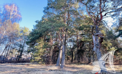 Купить участок, Брест, Сад. товарищества, 13.11 соток. Фото 23