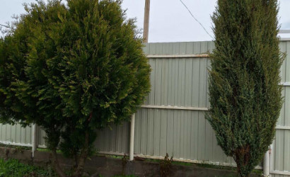 Купить дом, Мичуринская, Дружбы, 14 соток. Фото 24