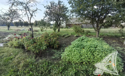 Купить дом, Березняки, Пелищенский с/с, 18.64 соток. Фото 3