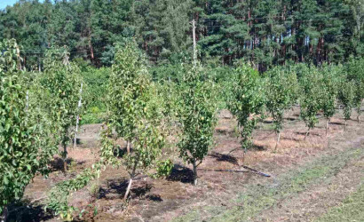 Продажа помещения, Рудка, Советская,  142.4 кв.м.. Фото 16