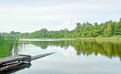 Купить дом, Горовые, Набережная, 47.9 соток. Фото 9