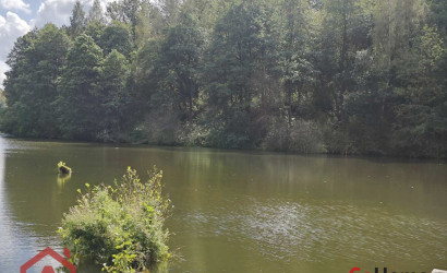 Купить участок, Мончаки, Лесная, 15 соток. Фото 38