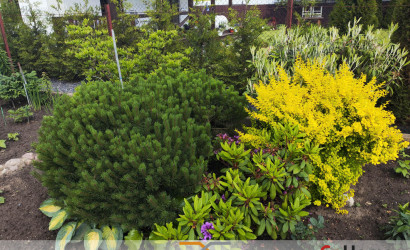 Купить дом в деревне, АЭРОФЛОТ, 6.04 соток. Фото 23