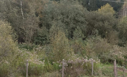 Купить дачу, Зенитчик, 5.53 соток. Фото 11