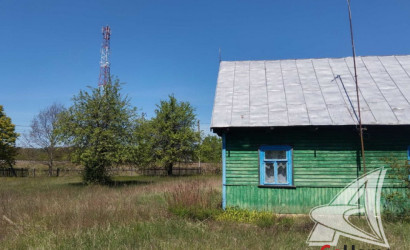 Купить дом, Бронная Гора, Соколовский с/с, 25 соток. Фото 11
