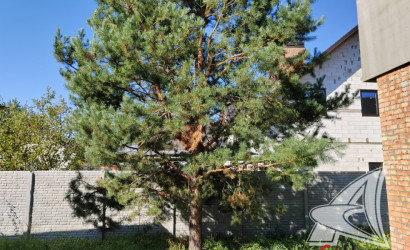 Купить дом, Каменица-Жировецкая, Мухавецкий с/с, 6.76 соток. Фото 14