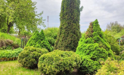 Купить дом, Турковщина, Центральная ул., 20 соток. Фото 28