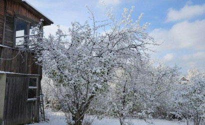 Купить участок, Янтарь, 5 соток. Фото 13