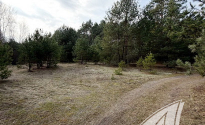 Купить участок, Дубица, Домачевский с/с, 24.9 соток. Фото 12