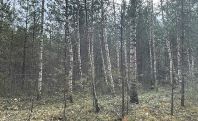 Купить дом, Мельница-Сорочье, 13 соток. Фото 19