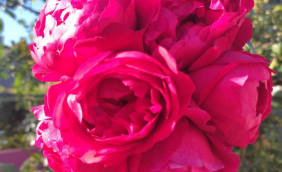 Купить дом в деревне, Строитель-96, 5.23 соток. Фото 9