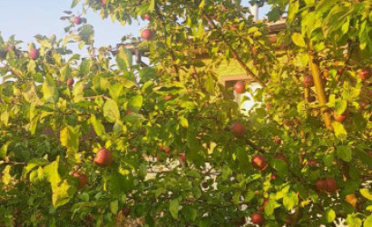 Купить дом, Лепель, Ульянка, 7.6 соток. Фото 3