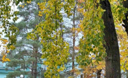 Купить коттедж, Свислочь, Партизанская ул., 29/б, 1 соток. Фото 5