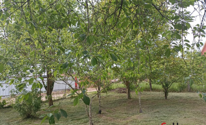 Купить дачу, Топилишки, СТ Раница, Лядский сельсовет, Щучинский район, Гродненская область, 6.09 соток. Фото 3