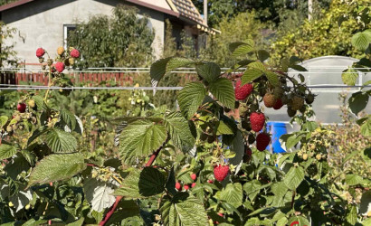 Купить участок, Полянка-1, 4.1 соток. Фото 6