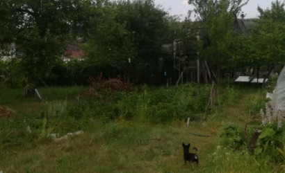 Купить участок, Коптевка, СТ Художник, коптёвский сельсовет, 5 соток. Фото 1