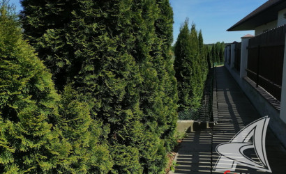 Купить дом, Ямно, Тельминский с/с, 14.99 соток. Фото 40