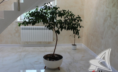 Купить дом, Петровичи, Ракитницкий с/с, 45.18 соток. Фото 39