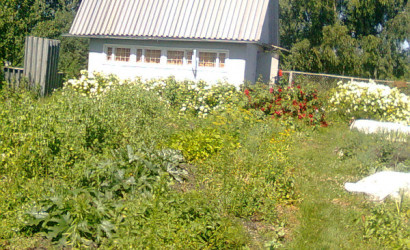 Купить дачу, Бережа, Ст Пятигорье, 11 соток. Фото 5