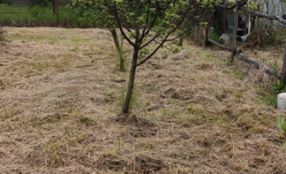 Купить участок, Зябровка, 113, садоводческое товарищество Бытрадиотехника, 7 соток. Фото 15