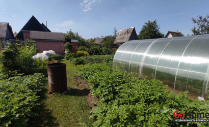 Купить дачу, Борок, Станция Вендорож. Садоводческое товарищество Физик-1980, 10 соток. Фото 7