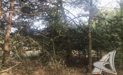 Купить участок, Брест, Радваничский с/с, 10 соток. Фото 3