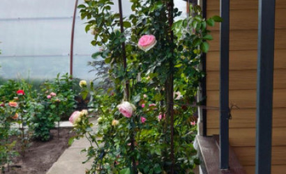 Купить дом в деревне, АЭРОФЛОТ, 6.04 соток. Фото 31