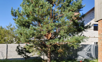 Купить дом, Брест, Мухавецкий с/с, 6.76 соток. Фото 13