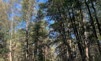 Купить участок, Брест, ул. Рябцева, д. , 8 соток. Фото 2