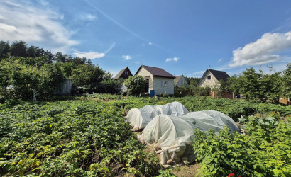 Купить дачу, СТ Водоканал, 5.2 соток. Фото 2