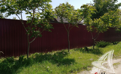 Купить дом, Большая Курница, Чернинский с/с, 25 соток. Фото 24