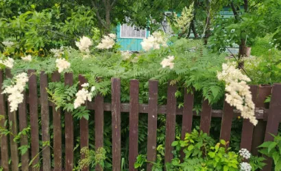  1-этаж.(55 м2), Головные Ляды(Центральная 52)
