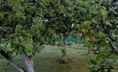 Купить дом в деревне, СОЛОВУШКА, 9.33 соток. Фото 7