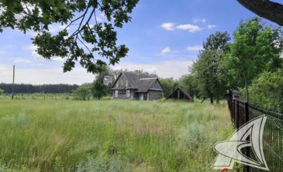 Купить дом в деревне, Рожковка, Дмитровичский с/с, 25 соток. Фото 2