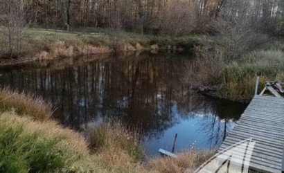 Купить дом в деревне, Горошковка 1, Каменюкский с/с, 25 соток. Фото 36