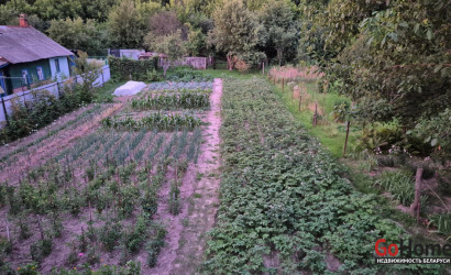 Купить дачу, Гомель, Ул. Лепешинского, 29, 12 соток. Фото 11