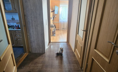 Купить дом, Витебск, Северная, 15 соток. Фото 7