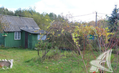 Купить дачу, Брест, Мухавецкий с/с, 10.24 соток. Фото 8