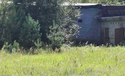 Продажа помещения, Новоколосово,  1353.7 кв.м.. Фото 2