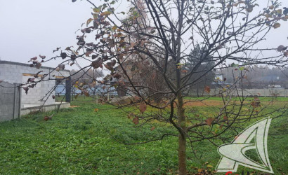 Купить участок, Брест, Знаменский с/с, 4.87 соток. Фото 3