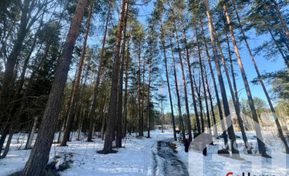 Продажа помещения, Мясотский с/с,  1609.9 кв.м.. Фото 25