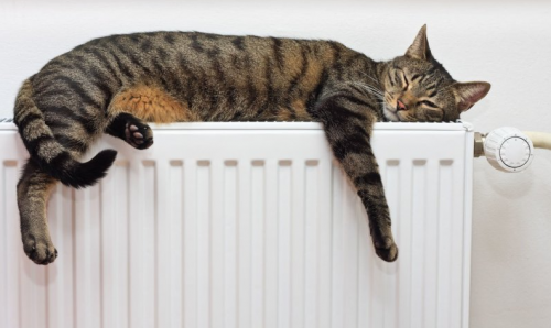 В квартирах Минска включили отопление