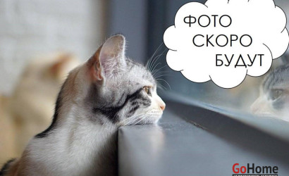 Купить 3-комнатную квартиру, Солигорск, Шахтеров б-р, 11. Фото 3