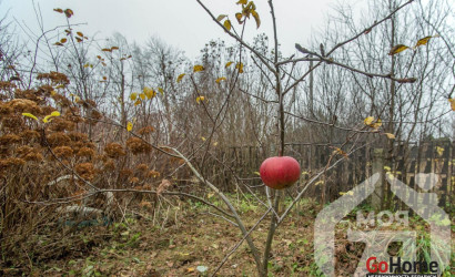 Купить дом, Застенки, 25 соток. Фото 10