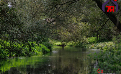 Продажа помещения, Прилуки, Школьная ул., 747.8 кв.м.. Фото 24