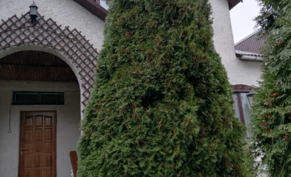 Купить коттедж, Красная Слобода, Советская, 23 соток. Фото 1