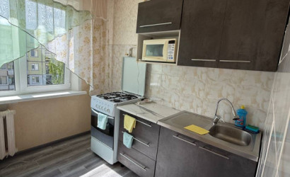 Снять 3-комнатную квартиру на сутки, Барань, Набережная, д. 18. Фото 1