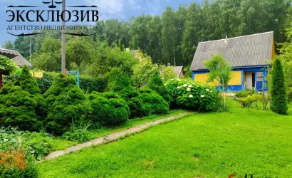  123.6 м2, Березовая роща